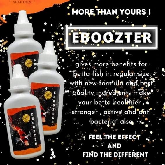 Eboozter - Double Action Formula Untuk Ikan Kontes 70 ML