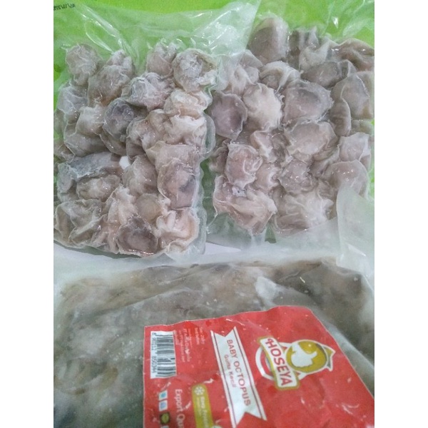 

baby octopus (baby gurita)