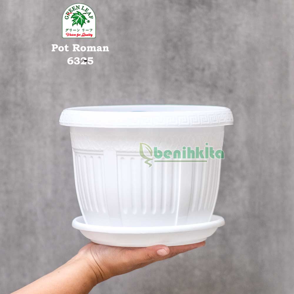 Pot Roman 25 Putih (Green Leaf)