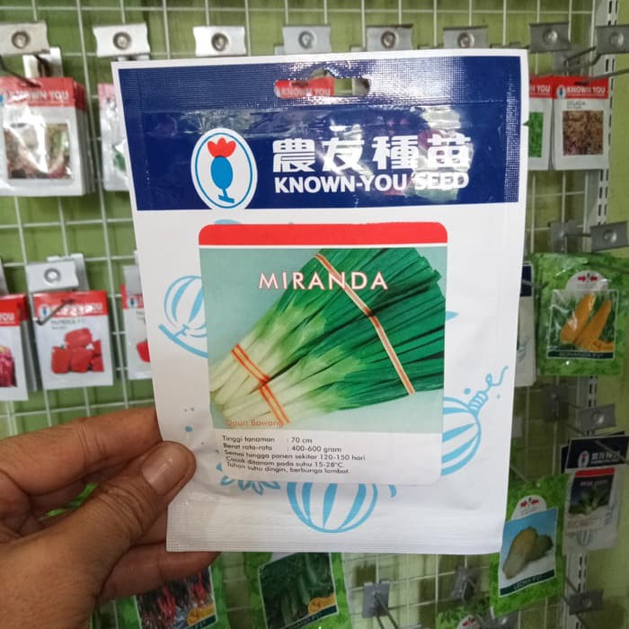 

Jual Benih Bawang Daun MIRANDA, Known You Seeds Berkualitas