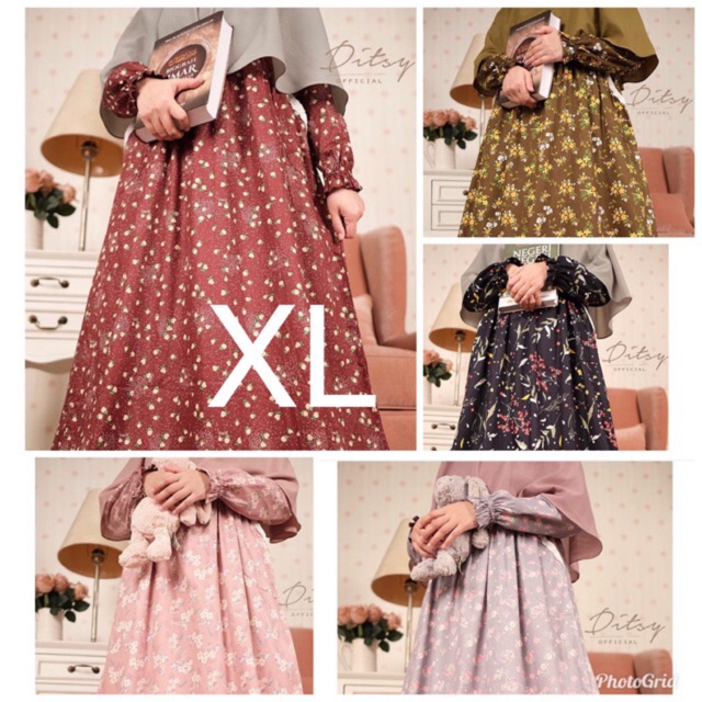 DITSY SERIES 4 AGUSTUS