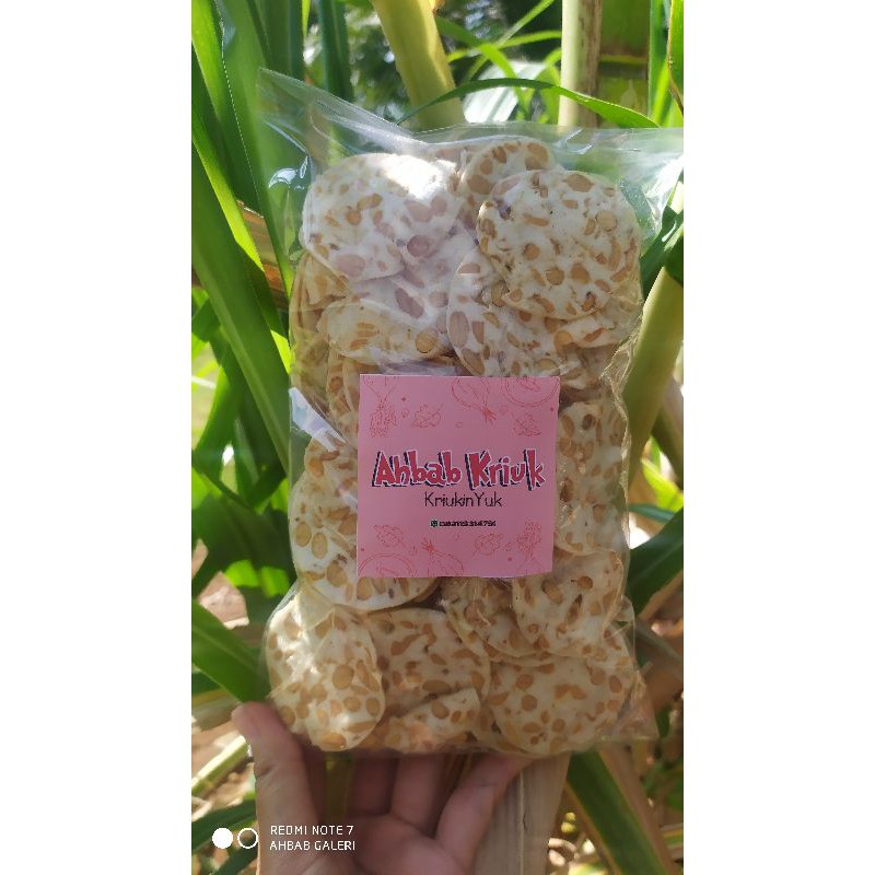 

Kripik Tempe isi 250 gram