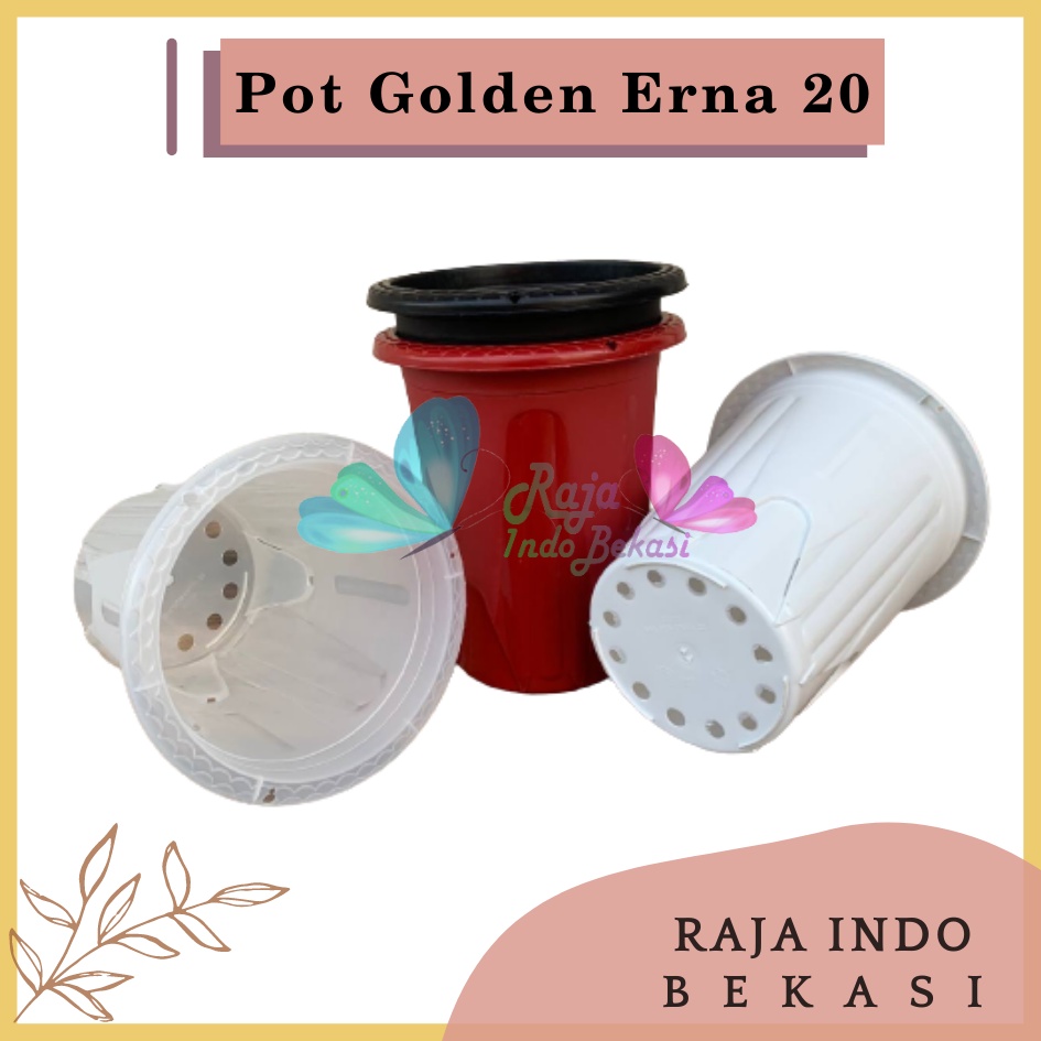 Pot GE 20 Golden Erna 20 Putih Hitam Transparan Bening Merah Bata pcs Pot Yogap 10 13 15 17 18 19 25 Pot Yogap Bening LUSINAN POT YOGAP MURAH