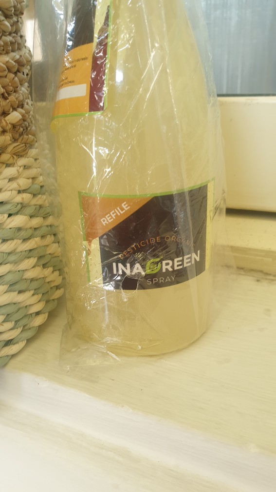 Pestisida Organik Plantes Untuk Menghilangkan Ulat Kutu Tanaman