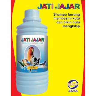 JATIJAJAR SHAMPO BURUNG DARI EBOD JAYA