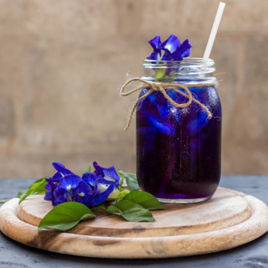 

Dried Butterfly Blueapea Blue Tea Flower Edible Bunga Teh Biru Untuk Dessert Garnish Minuman