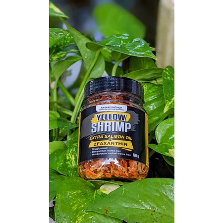 pakan ikan predator channa udang kering yellow pigment (kemasan 50gr)