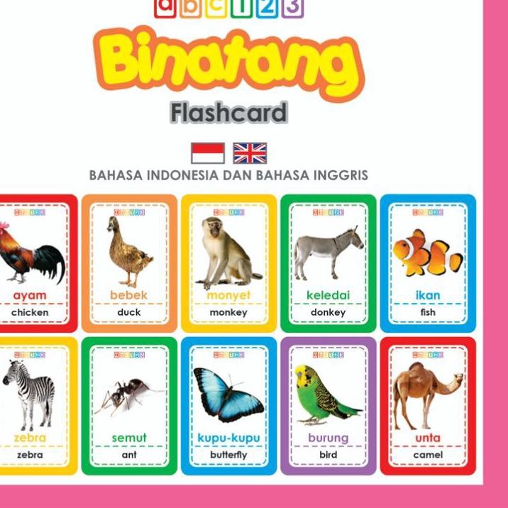 870 Gambar Hewan Darat Air Dan Udara HD