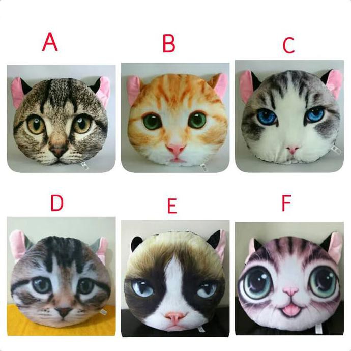 

Bantal Kucing