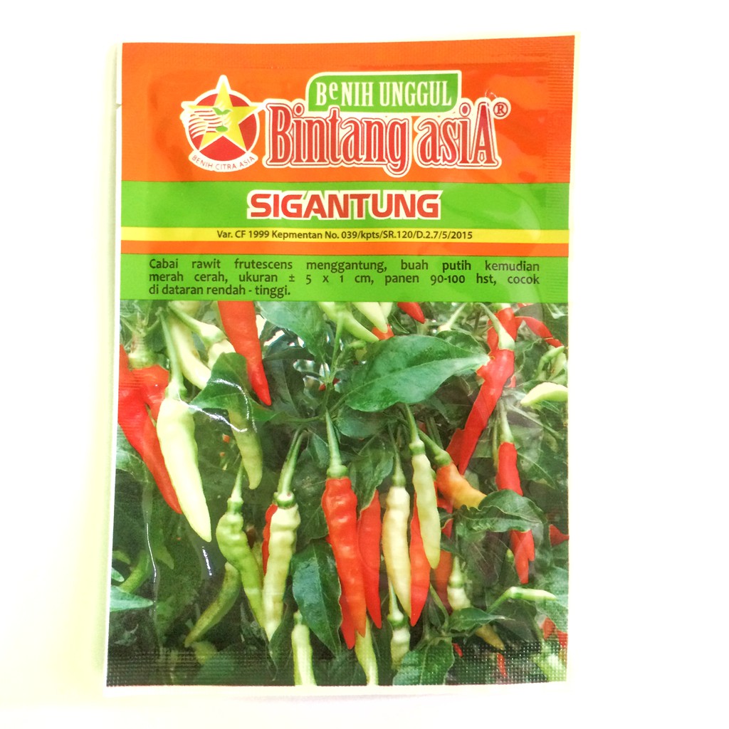 Benih Cabai Rawit Sigantung