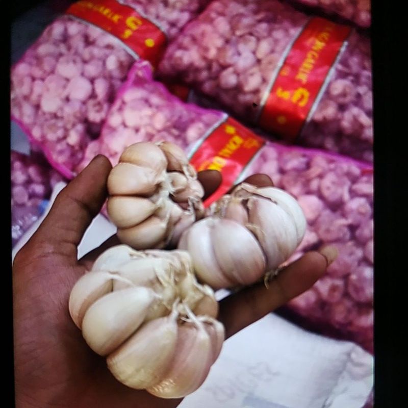 

Bawang putih Honam Panen Baru