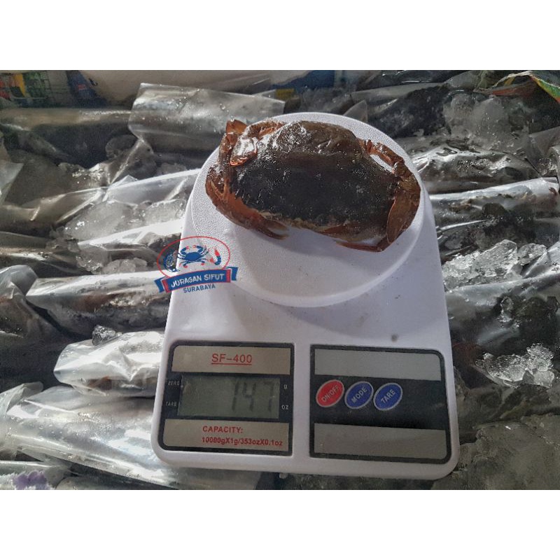 

Kepiting Soka / Soft Shell Crab