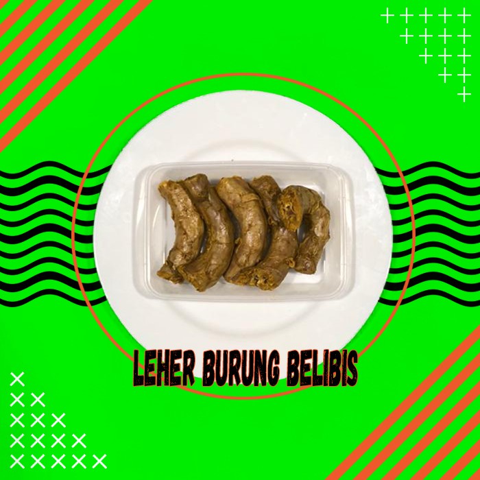 

Leher Burung Belibis isi 5