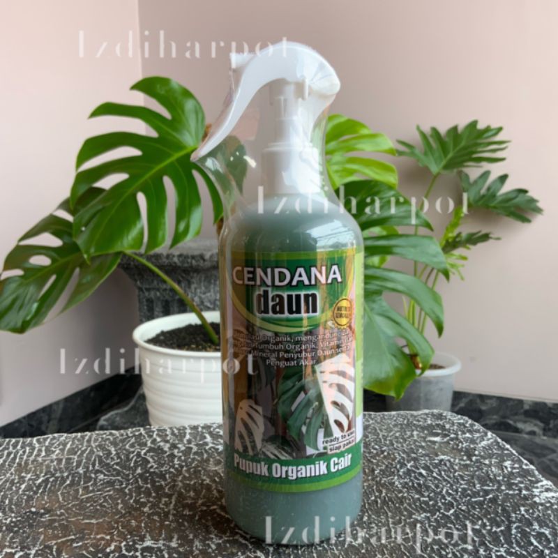 pupuk cair organik cendana daun 500ml pupuk daun spray - siap pakai