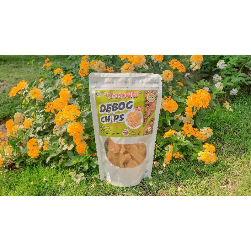 

DEBOG CHIPS
