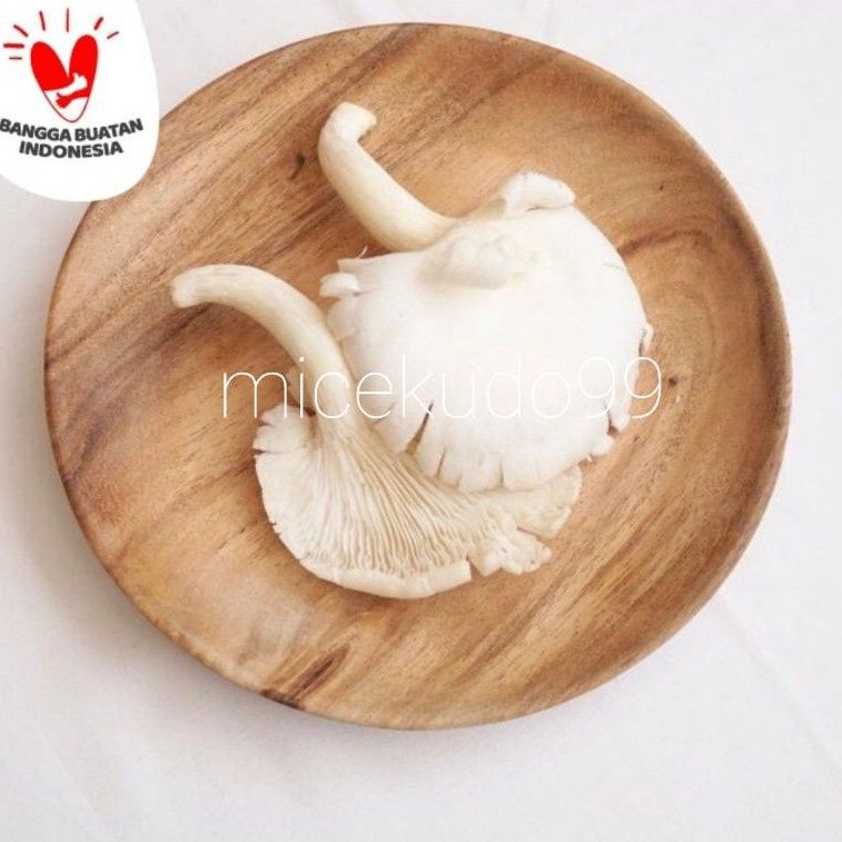 

FRESH JAMUR TIRAM 500 GRAM / OYSTER MUSHROOM / PUTIH MUSHROOMS