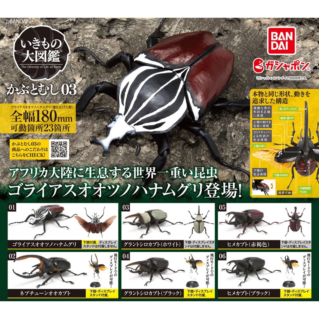 Himekabuto Grant's Beetle Kumbang Badak Kabutomushi 03 Ikimono Bandai Gashapon Gacha