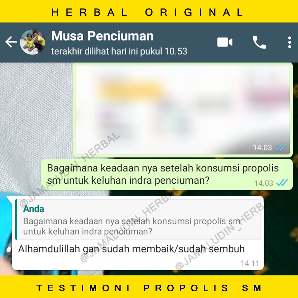 Obat Herbal Tetes Hidung Tersumbat, Polip Hidung, Anosmia - Obat Herbal Polip Hidung Tersumbat, Pilek Menahun, Gondok Kelenjar, Obat Anosmia, Obat TBC, Obat Batuk Berdahak,Obat Hidung Mampet Herbal Propolis SM ASLI-8
