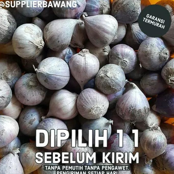 

Kphcha49 Bawang Putih Tunggal 1Kg Lp