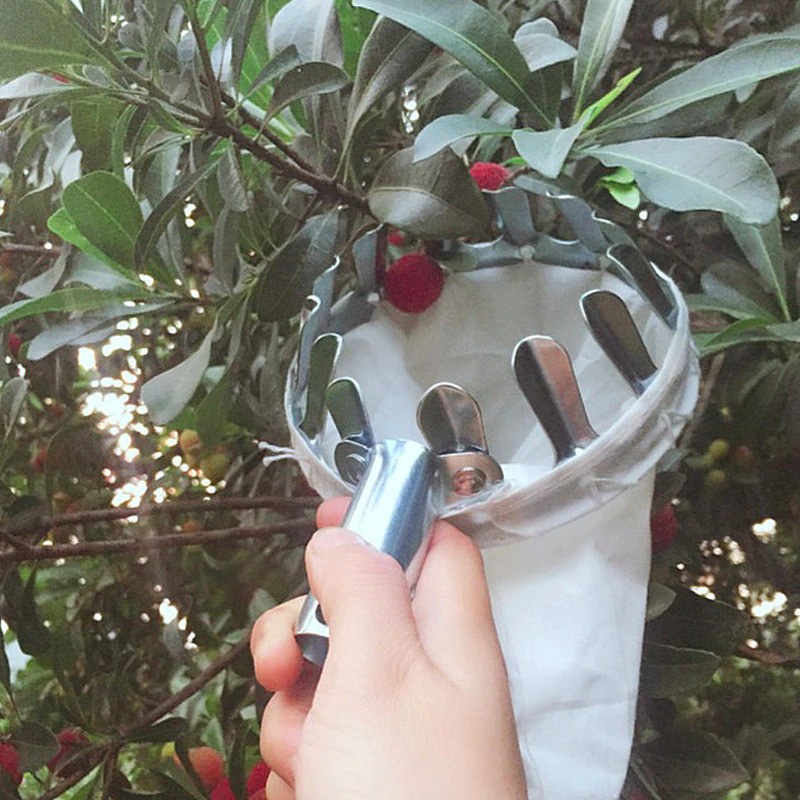 Jaring Net Pemetik Buah Garden Fruit Picker Collection Head Tool - A48 - Silver