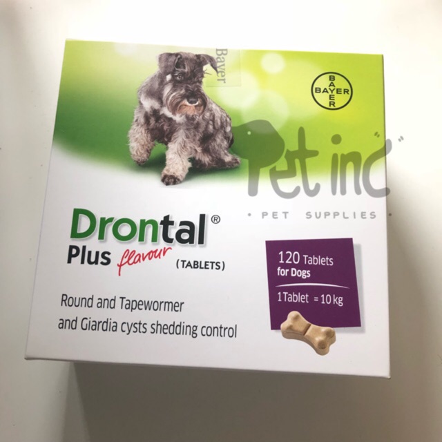 Drontal plus obat cacing anjing