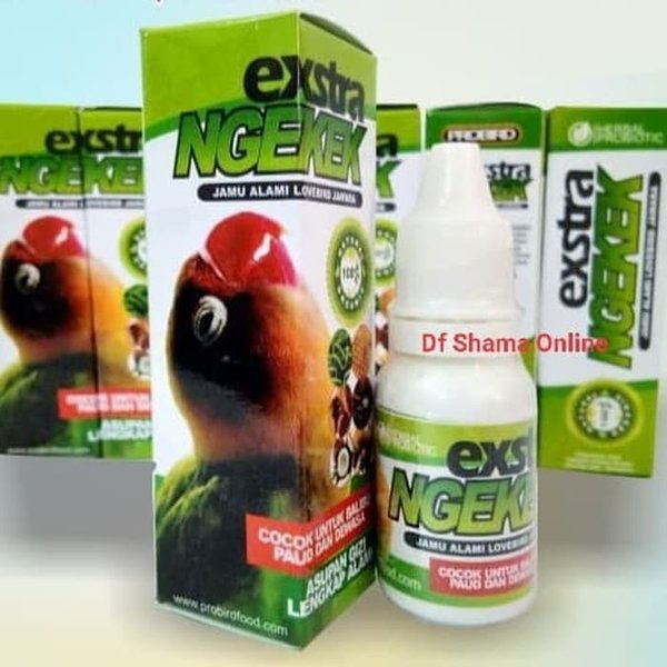 Termurah   EXTRA NGEKEK JAMU LOVEBIRD VITAMIN PENDONGKRAK NGEKEK DURASI FIGHTER