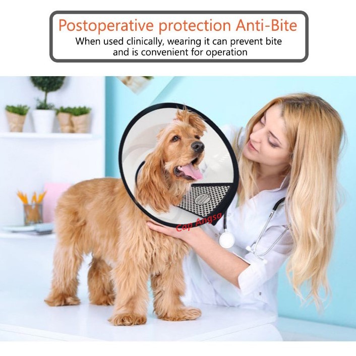 PET PROTECTION CONE COVER ELISABETH COLLAR CORONG PENUTUP LEHER 5 6 7 KONE SMALL PET COLAR DOG CAT