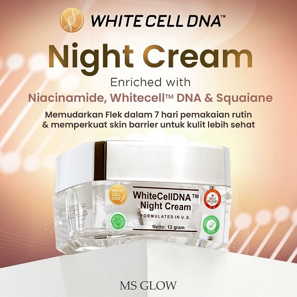 [NEW] MS Glow White Cell DNA Night Cream l Krim Malam Whitecelldna Terbaru