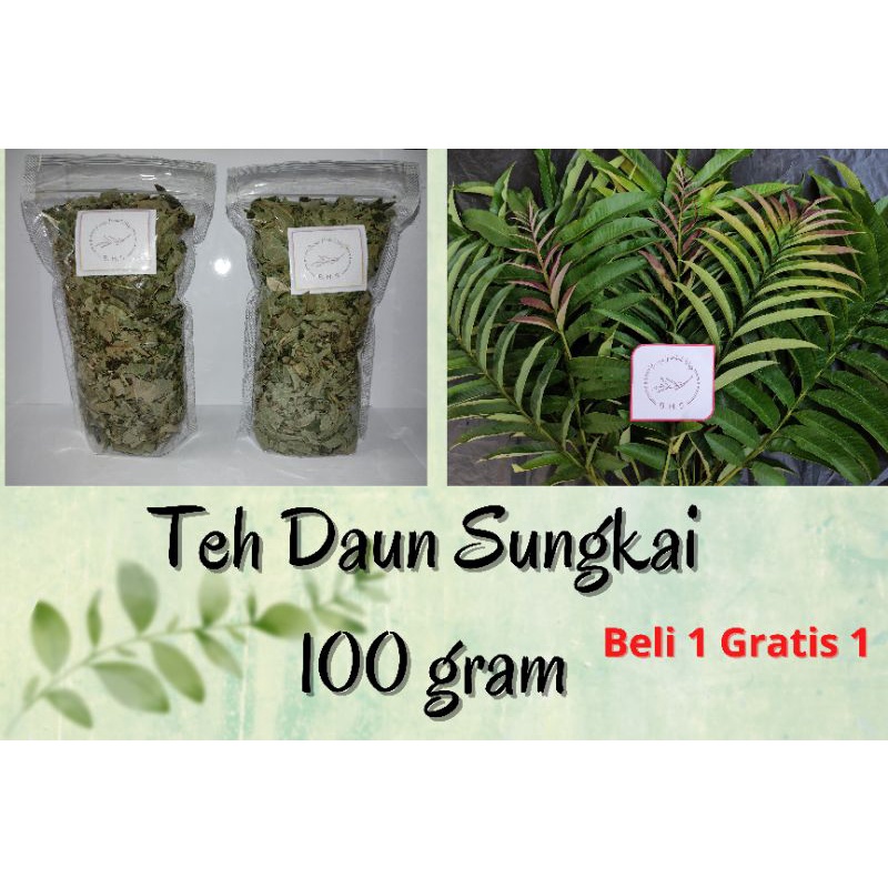 

Teh Daun Sungkai Herbal (Beli 1+Gratis 1)