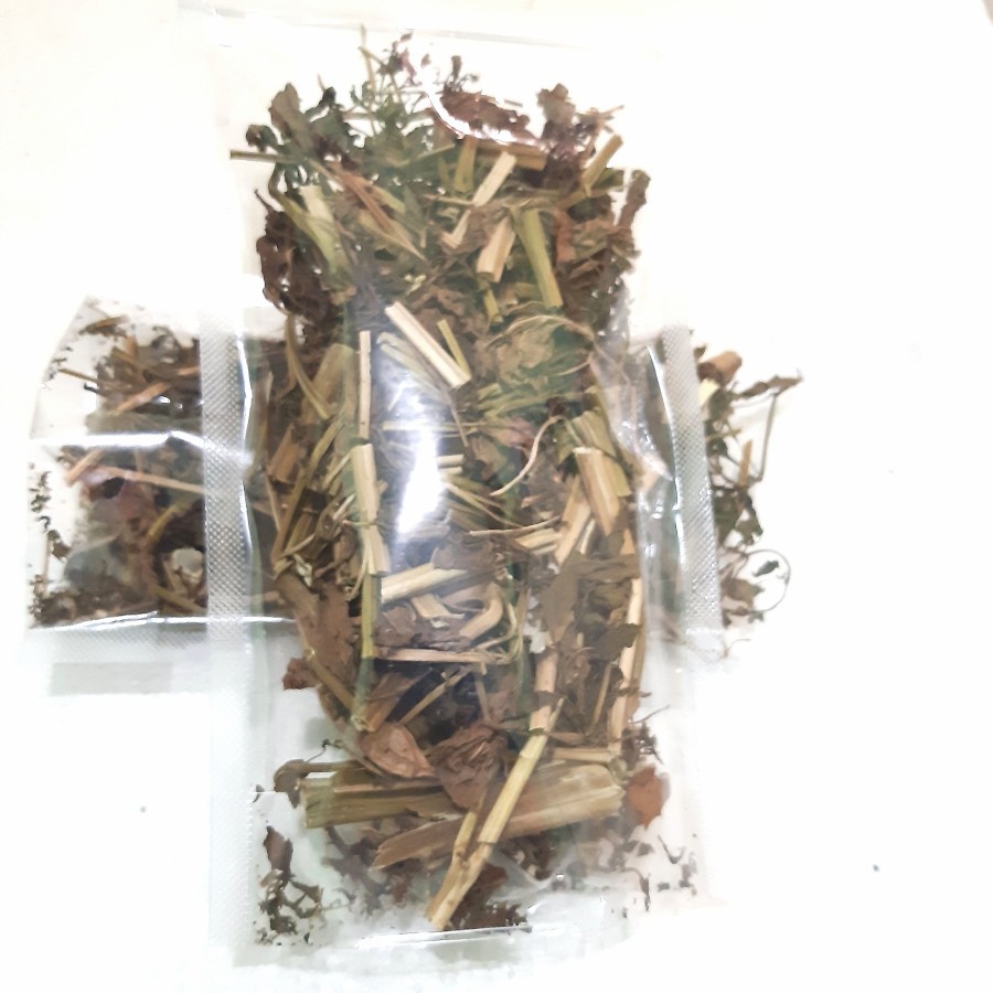 Herbal Daun Ciplukan Kering Akar dan Batang 70 Gram