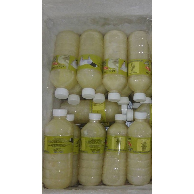 

Susu Kambing Ettawa