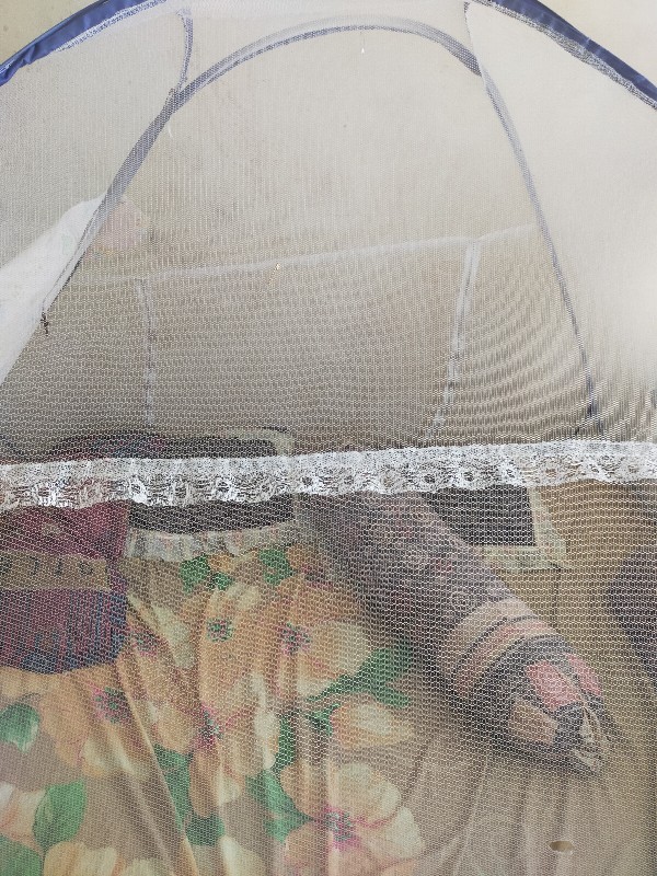 Kelambu Tenda Lipat Butter