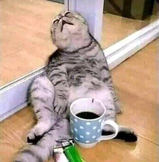 Batik Solo Jambul Putih Kemeja Pria Katun Halus Sragenan Full Furing