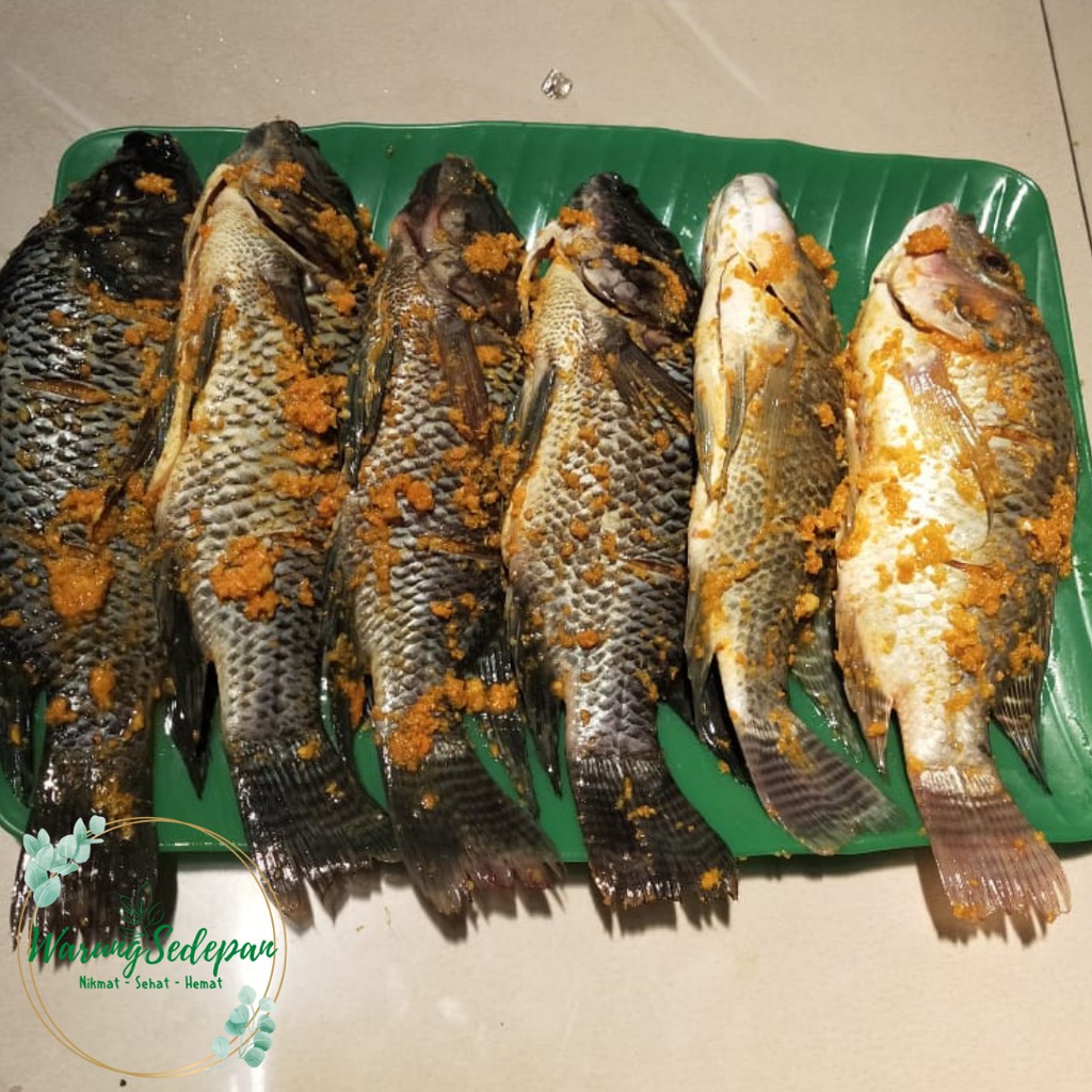 

Ikan Nila Bumbu Kuning Siap Goreng Ikan Segar Sedang isi 3 ekor