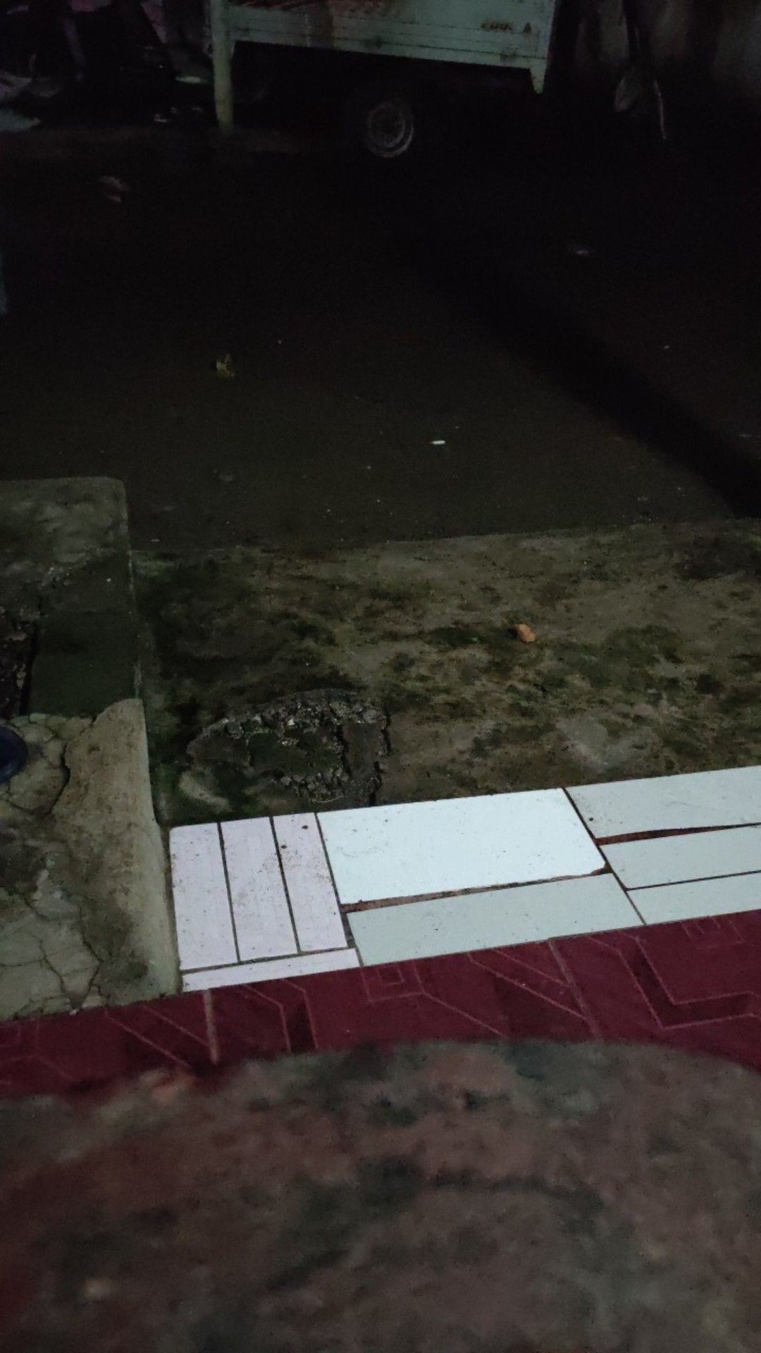 Golsem Jagal Sembeleh Kayu Sonokeling