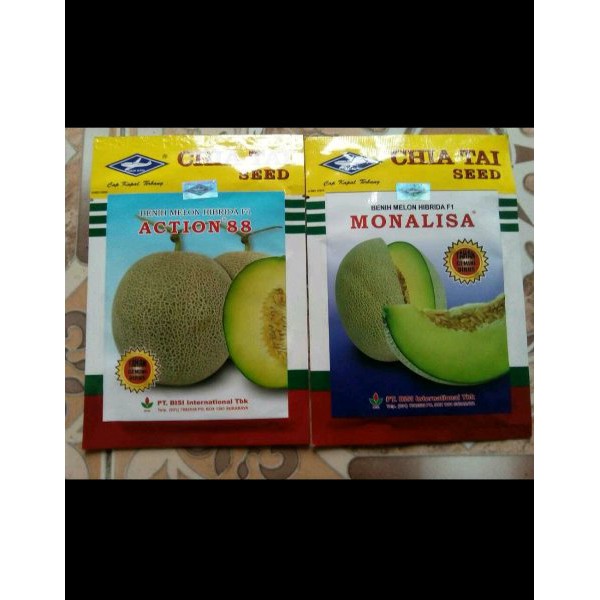 

Melon ACTION 88