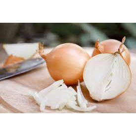 Bawang Bombay 250 gr Medan
