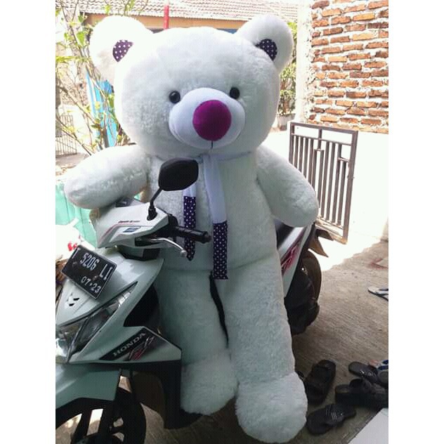 BONEKA BESAR BERUANG / PANDA SUPER JUMBO 1,5 METER