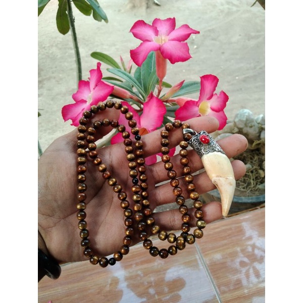 KALUNG AKAR BAHAR TUNGGAL/TALIARUS LIONTIN TARING BERUANG