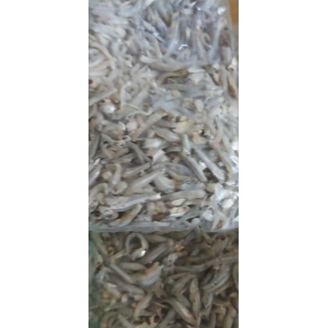 

ikanterijengki