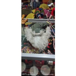 Harga TERMURAAH.. Jenggot warok /wok warok / kumis buatan / jenggot buatan / barongan / reog / pecut