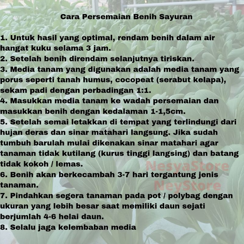 Benih Bibit Sayur Kangkung Bayam Selada Sawi Kubis Kol Cabe Cabai Tomat Terong Seledri Daun Bawang Brokoli Paprika Pagoda Samhong Kailan Oyong Gambas Labu