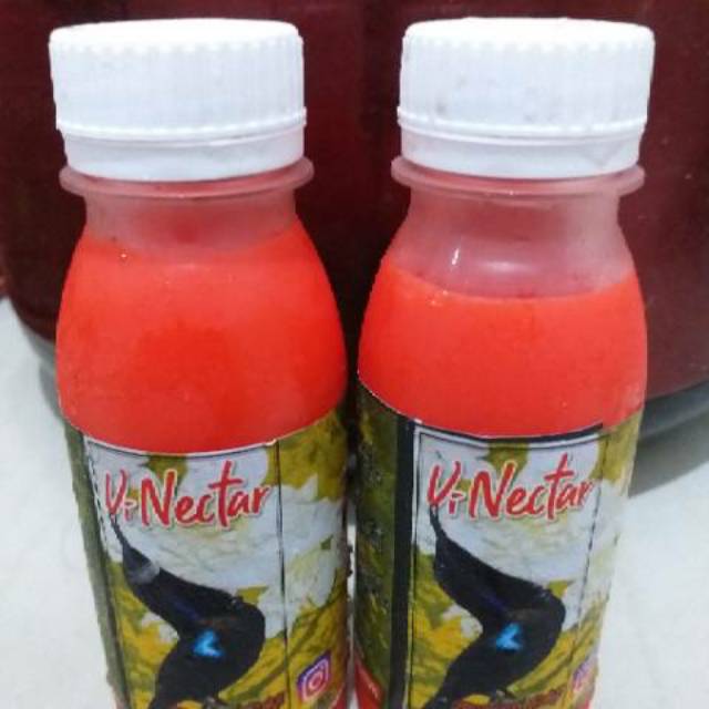 Vi-nectar mini #konin #sogon #kolibri ninja