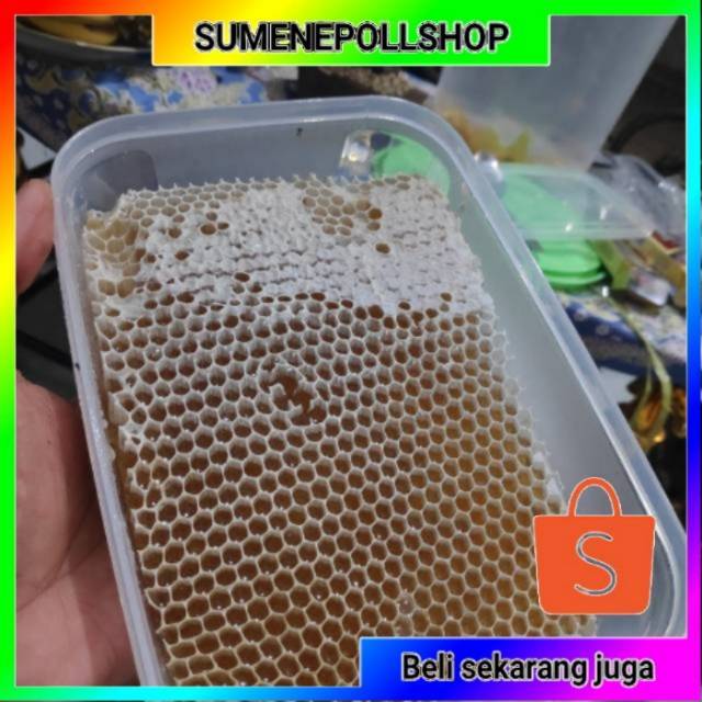 

Madu sarang melifera 500 ml sarang madu madu odeng madu ternak madu melifera madu baduy madu Sumbawa