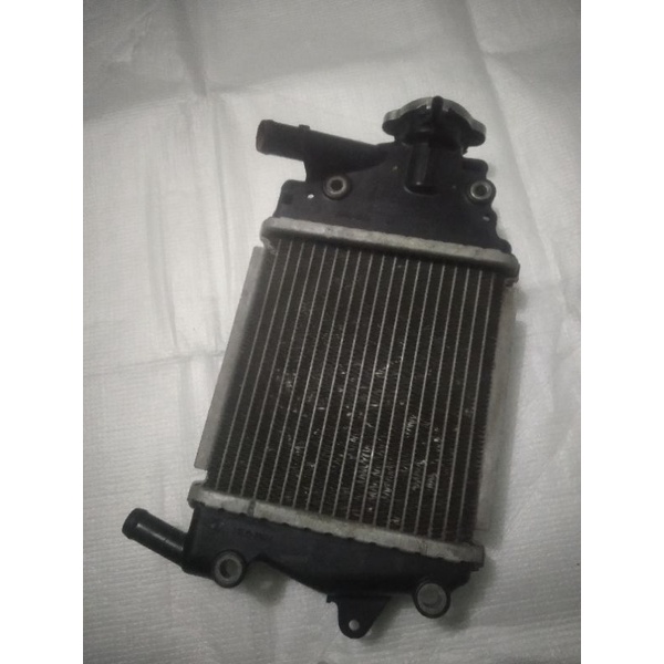 Radiator Assy Vario 125, Vario 150 Ori