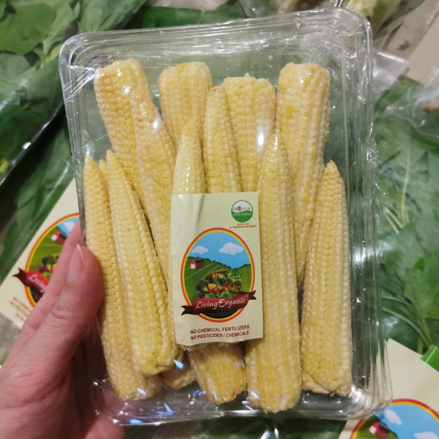 

Jagung Baby/Baby Corn 200 Gr