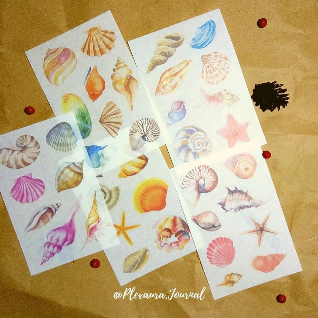 

Sticker Bujo “Mollusca” untuk Scrapbook, Bujo dan Journal Cibinong Bogor