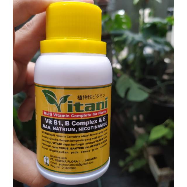 Jual Pupuk Vitamin Cair B1 Tanaman Lengkap | Shopee Indonesia