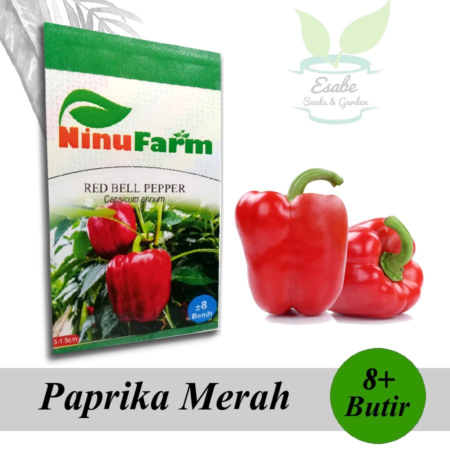 Biji Benih Paprika Merah - Ninu Farm