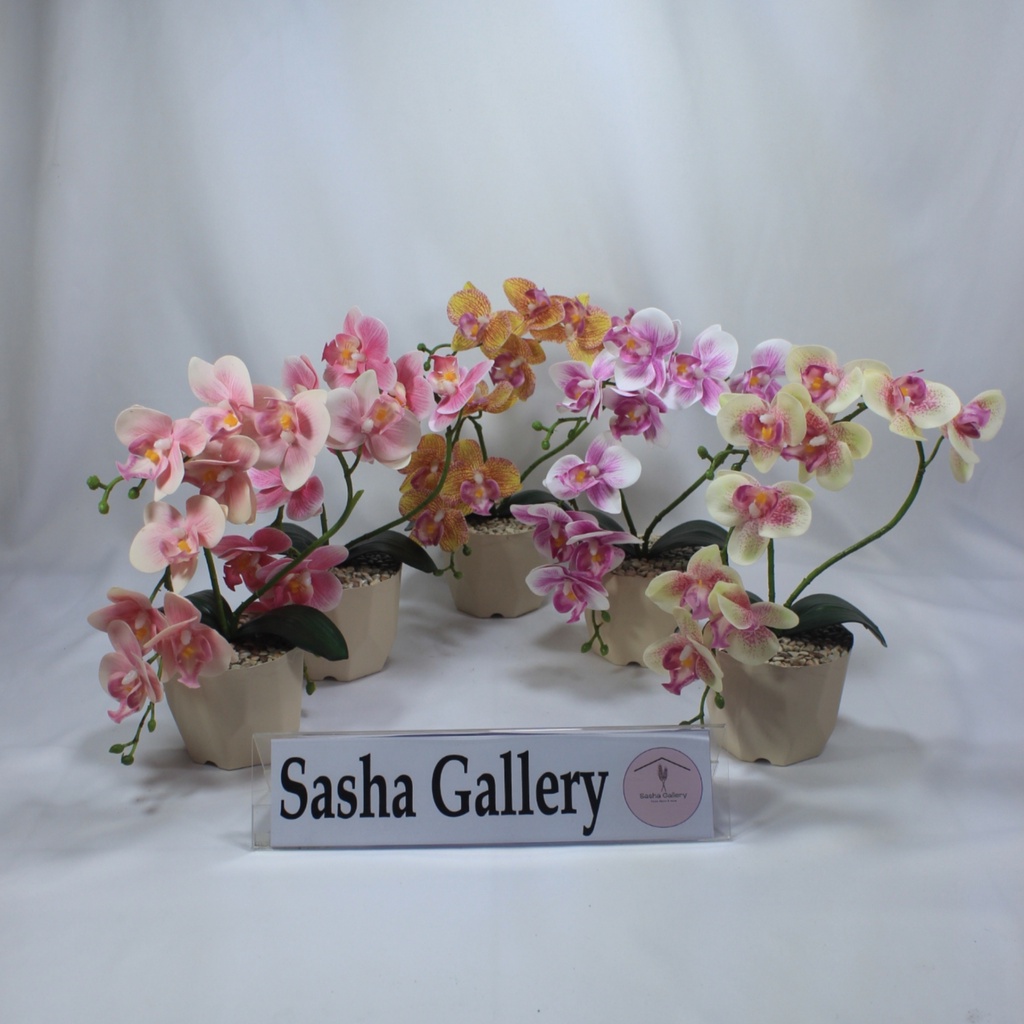 RANGKAIAN BUNGA ANGGREK LATEX PREMIUM 2 TANGKAI 12 KUNTUM // BUNGA ARTIFISIAL // ANGGREK LATEX // AN